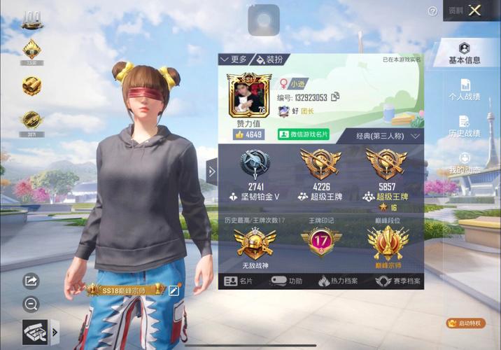 和平精英辅助【美杜莎容器直装V1.3】变色绘制 骨骼绘制 掩体变色 手持显示 全枪无死角漏打 扫车打鸟 范围可调节