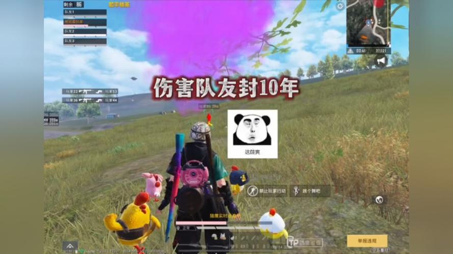 如何识别和防范和平精英游戏中的外挂行为